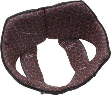 AGV Pista GP R Black Red Liner