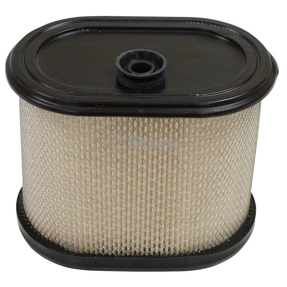 Air Filter - Briggs & Stratton 695302