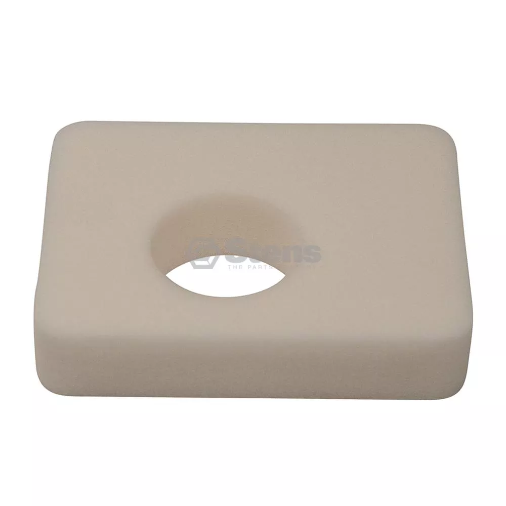 Air Filter - Briggs & Stratton 799579