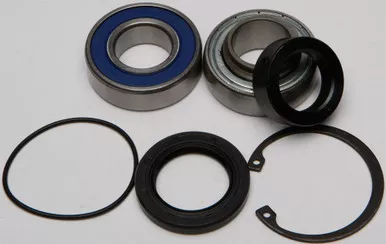 All Balls Chain Case Bearing & Seal Kit - 14-1001