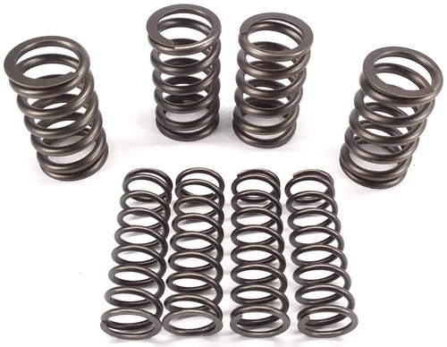 Andrews High Lift Valve Spring Kit (294150)