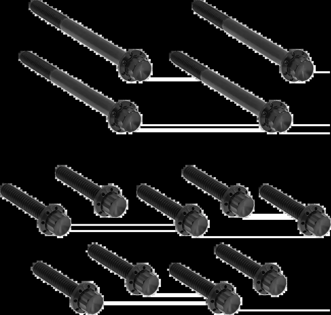 Arlen Ness Black 12-Point Outer Primary Cover Bolt Kit for 18-26 Harley Softail