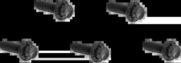 Arlen NESS Bolt Kit – Derby Cover – 12-Point – Titanium – Black
