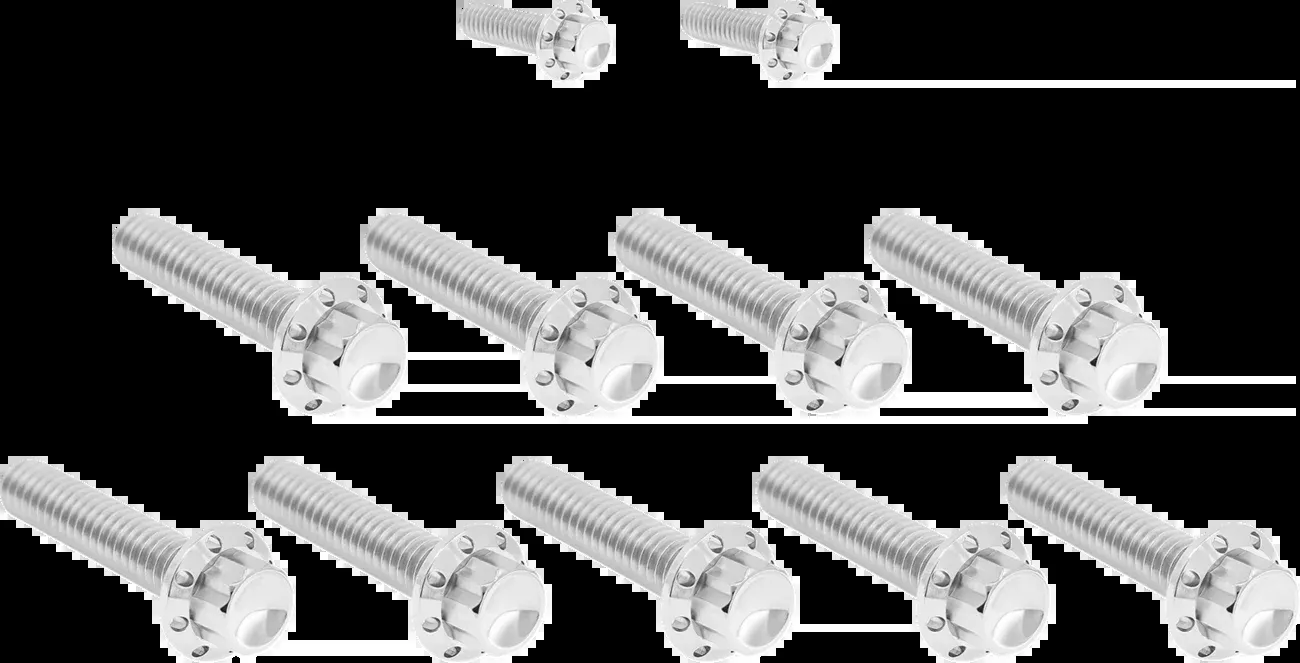 Arlen Ness Cam Cover/Point Cover Titanium 12-Point Bolt Kit for 2017-25 Harley