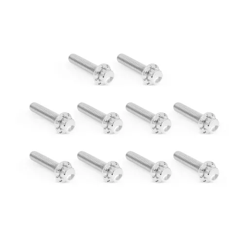 Arlen Ness Cam Cover Titanium 12-Point Bolt Kits for Harley - Polished