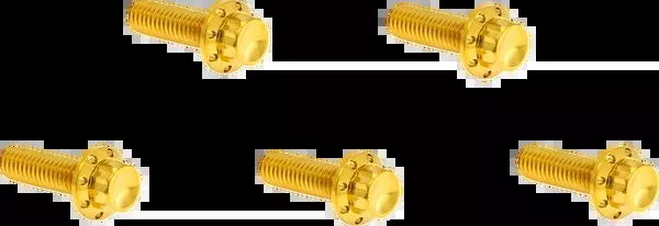 Arlen NESS Derby Cover Titanium 12-Point Bolt Kit