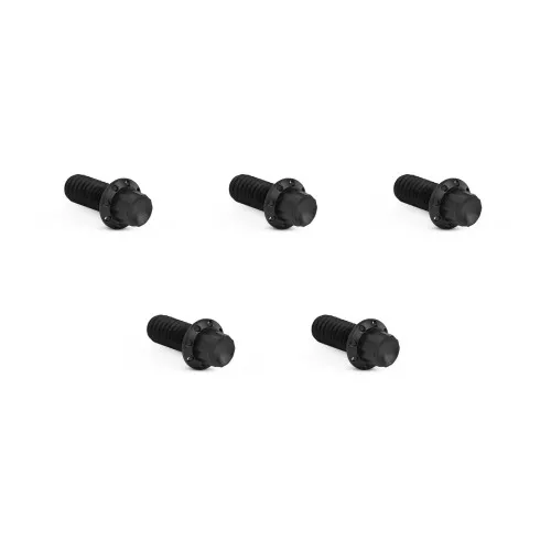 Arlen Ness Derby Cover Titanium 12-Point Bolt Kits for Harley - Black