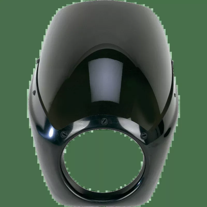 Arlen Ness Fairing