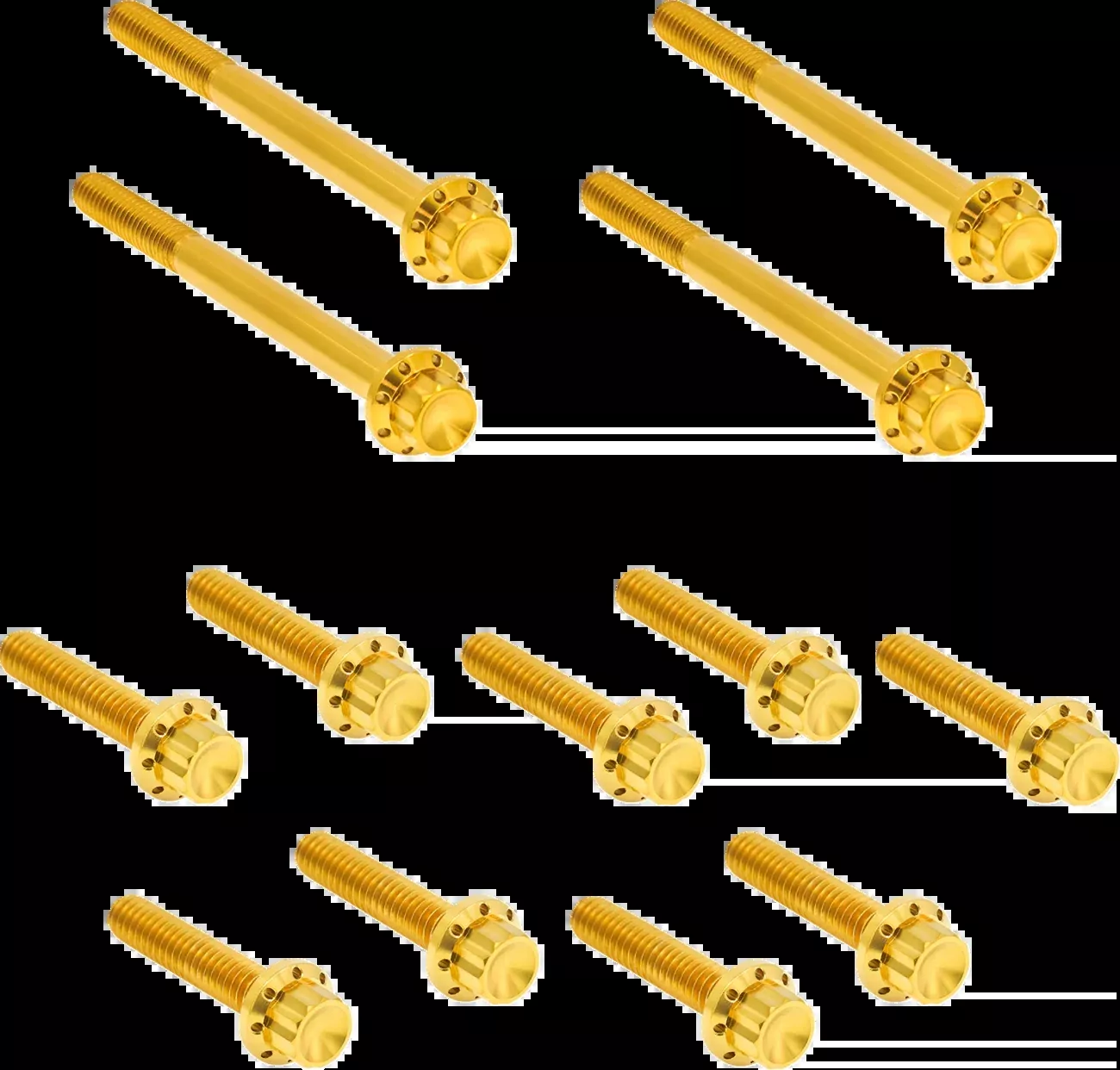 Arlen Ness Gold Primary Cover Titanium Bolt Kit for 2017-2025 Harley Touring