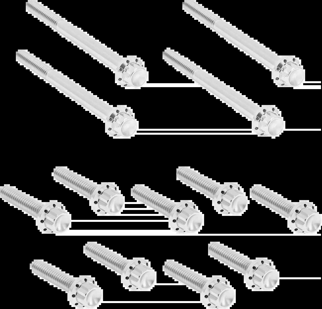 Arlen Ness Silver Primary Cover Titanium 12-Point Bolt Kit for 2017-2025 Harley