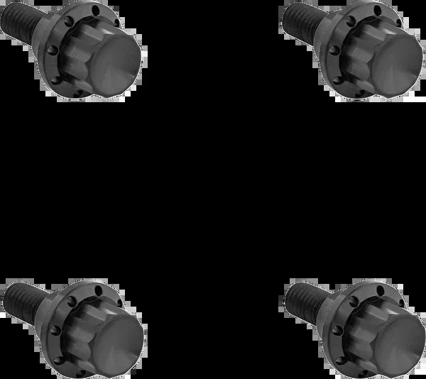 Arlen NESS Windshield Titanium 12-Point Bolt Kit