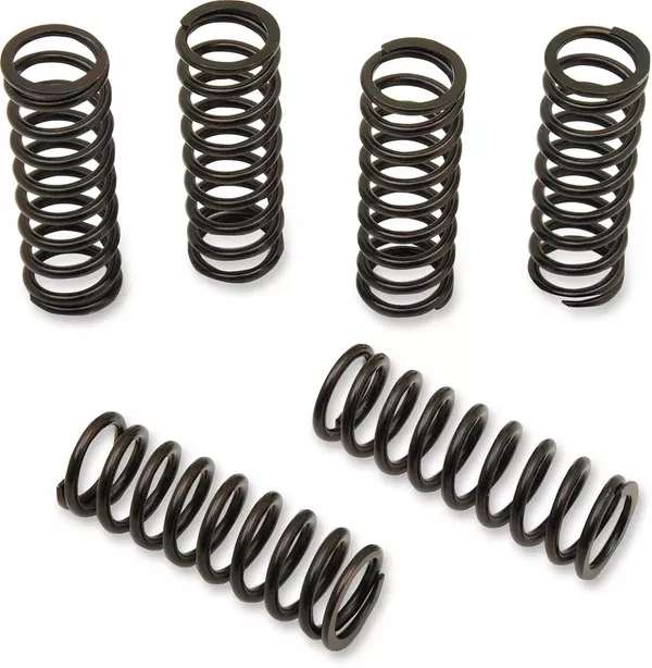 Barnett Clutch Spring Kit – Honda/Suzuki