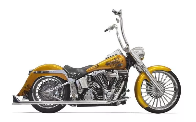 Bassani True Duals for '89-17 Softails - 33" Long Fishtail Mufflers - No Baffles