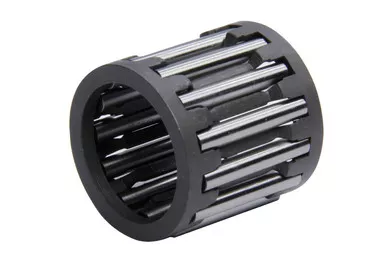 Bert Cage Needle Bearing SG-1058
