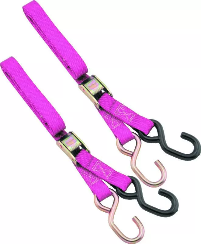BikeMaster 1in Tiedown – Pink