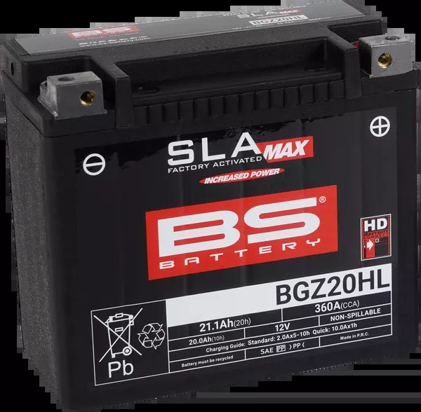 BS Battery Battery - BGZ20HL (GYZ)
