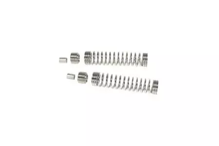 Burly Brand Fork Lowering Kit for FXSTS Models '89-06