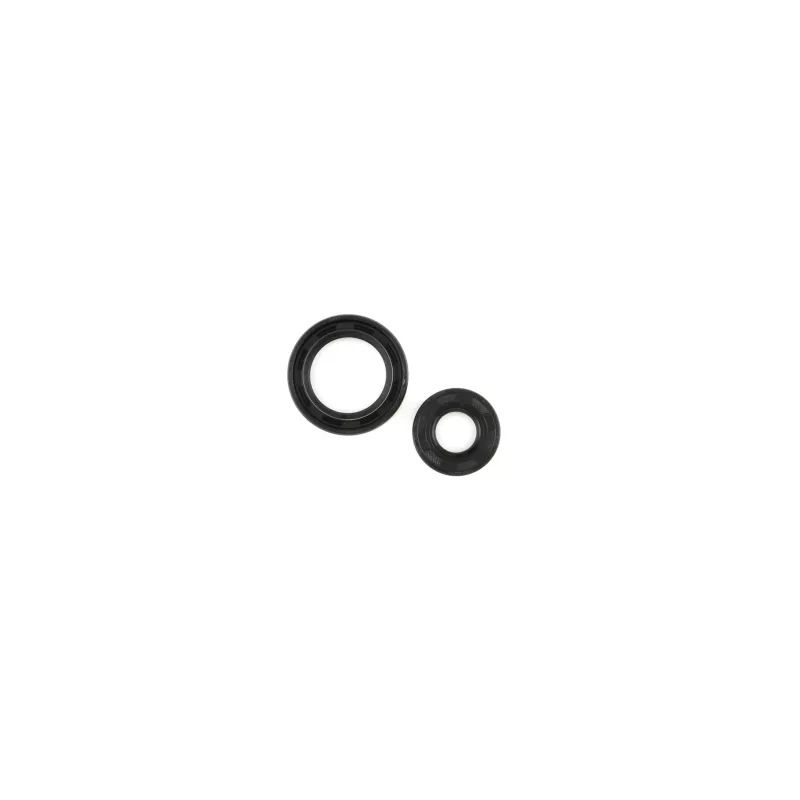 CG Crank Seal Kit