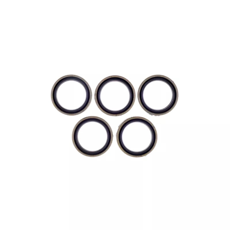 CG Oil Seal Kit