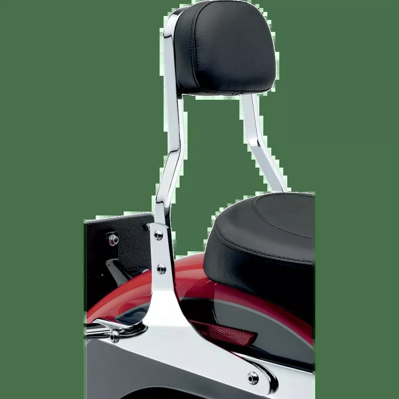 Cobra 00-17 Flstc/N/S Short Sissy Bar With Pad