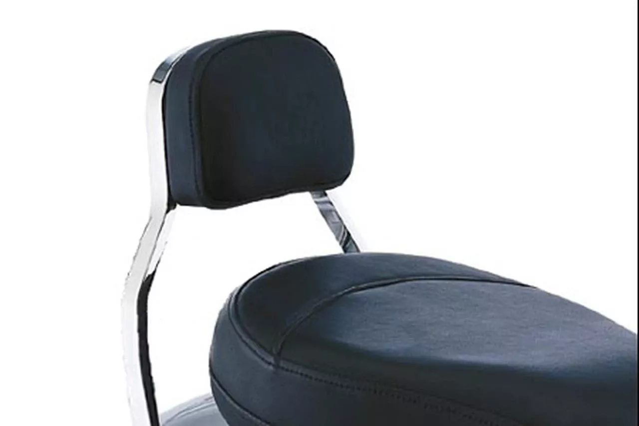 Cobra Sissy Bar Mini 11 inchfor Roadliner '06-Up