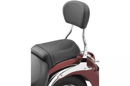 CobraSissy Bar Short 12 inch for ACE 750'98-03 -Round Style