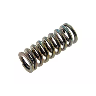 DOOR HINGE SPRING