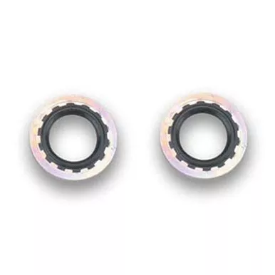 Earls Stat-O-Seals 3/4in -8AN 2pk 178012ERL