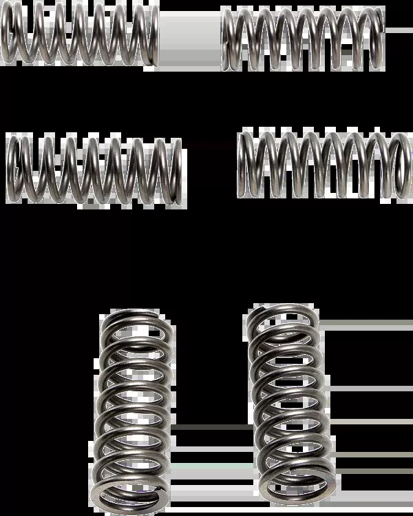 EBC Brakes Clutch Springs – 6 Pcs.