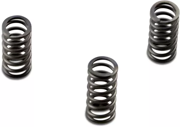 EBC Brakes Clutch Springs – FLH/FLS/FLR