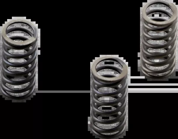EBC Brakes Clutch Springs - M8