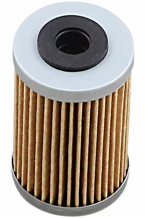 Emgo Oil Filter (10-26957)