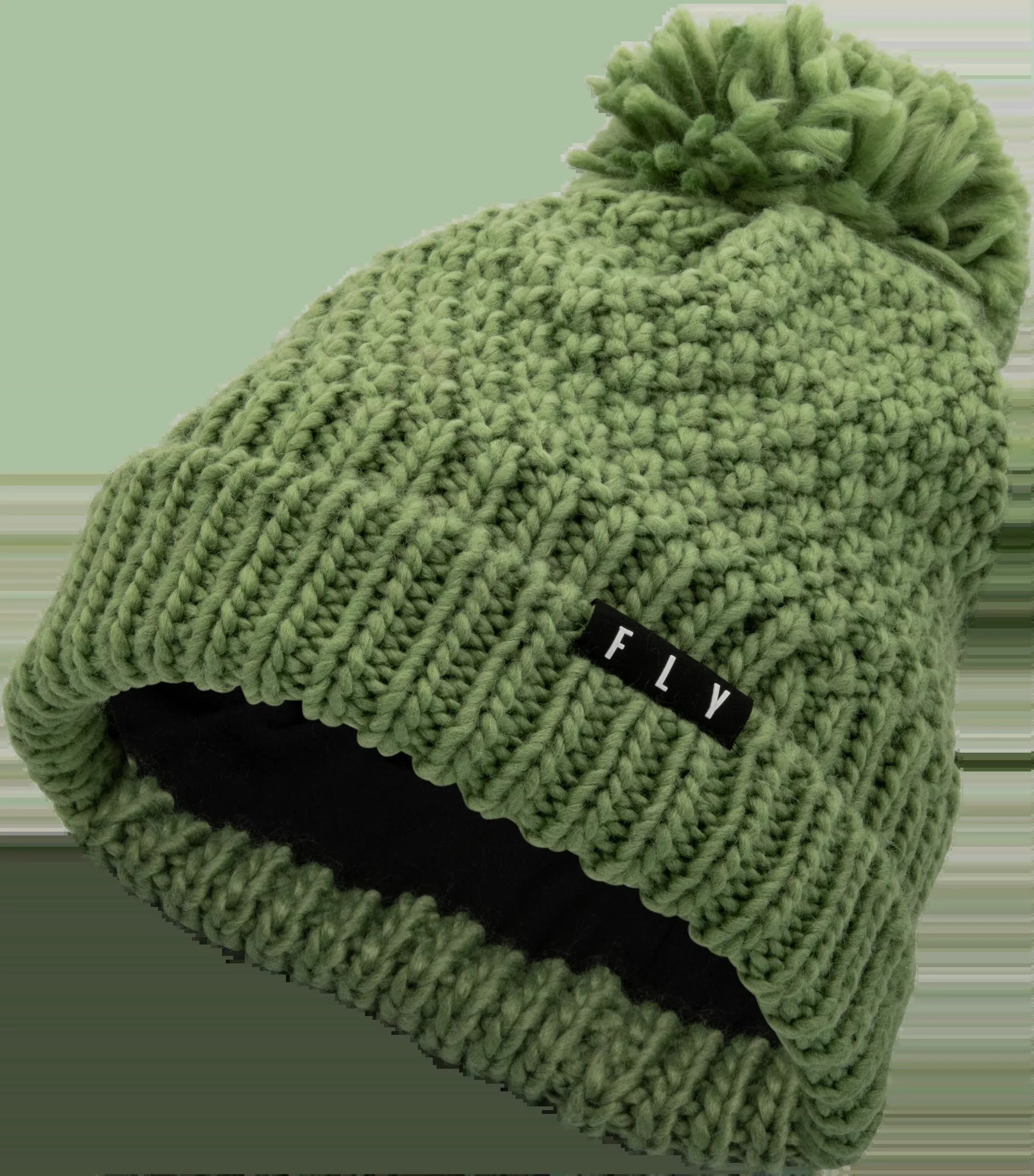 Fly Racing Women’S Fly Anna Pom Beanie Green 351-0004