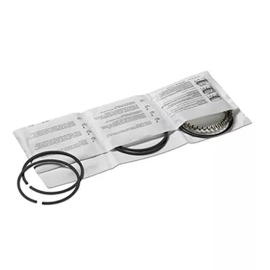 Hastings 2M7003020 Two Cylinder Piston Ring Set