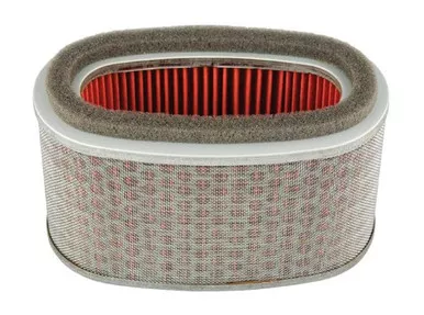 Hiflofiltro HFA1712 Premium OE Replacement Air Filter , black