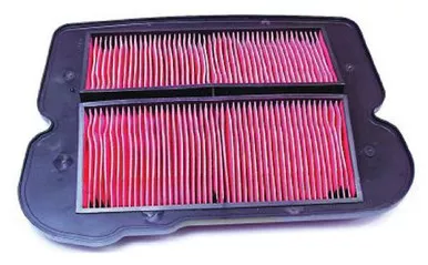 Hiflofiltro HFA1912 Premium OE Replacement Air Filter, Black
