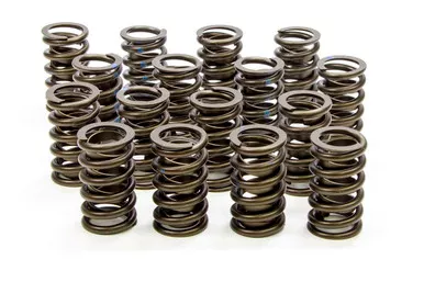 Isky 1.260in Valve Springs 295D