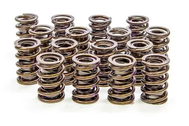 Isky 1.540in Valve Springs 9265