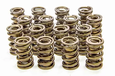 Isky 1.625 Valve Springs 9955RAD