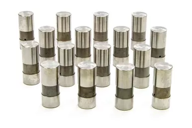 Isky Chevy Hydraulic Lifters 202HY