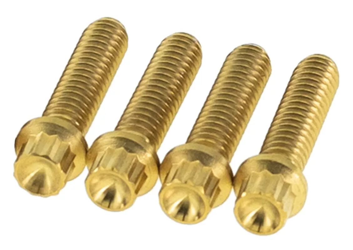 Kraus Pro-Line Titanium Hardware For Harley