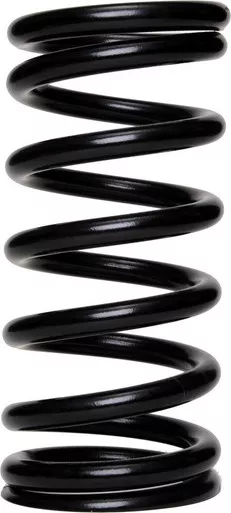 Landrum 12in x 5.5in x 600# Front Spring F600