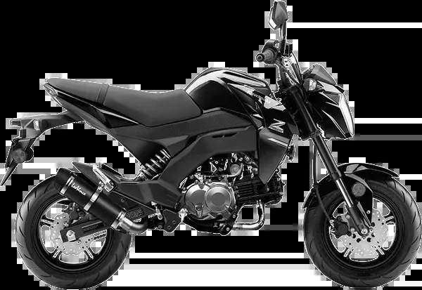 LeoVince GP Corsa Evo Exhaust – Z125