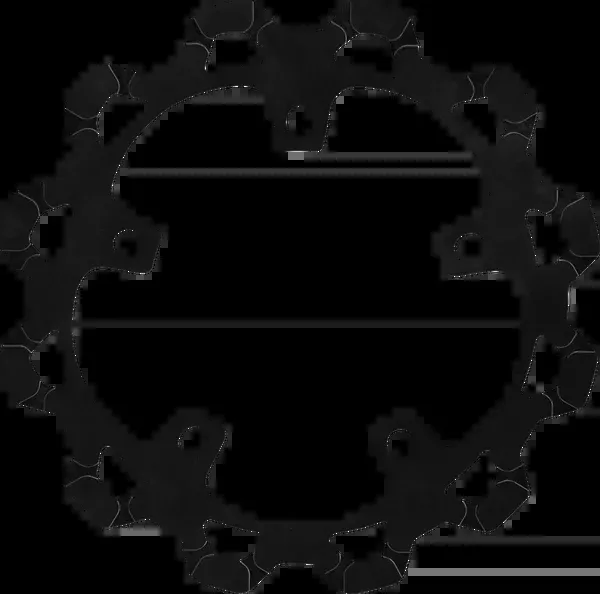 Lyndall Racing Brakes LLC Brake Rotor – Front – 13″ – Black