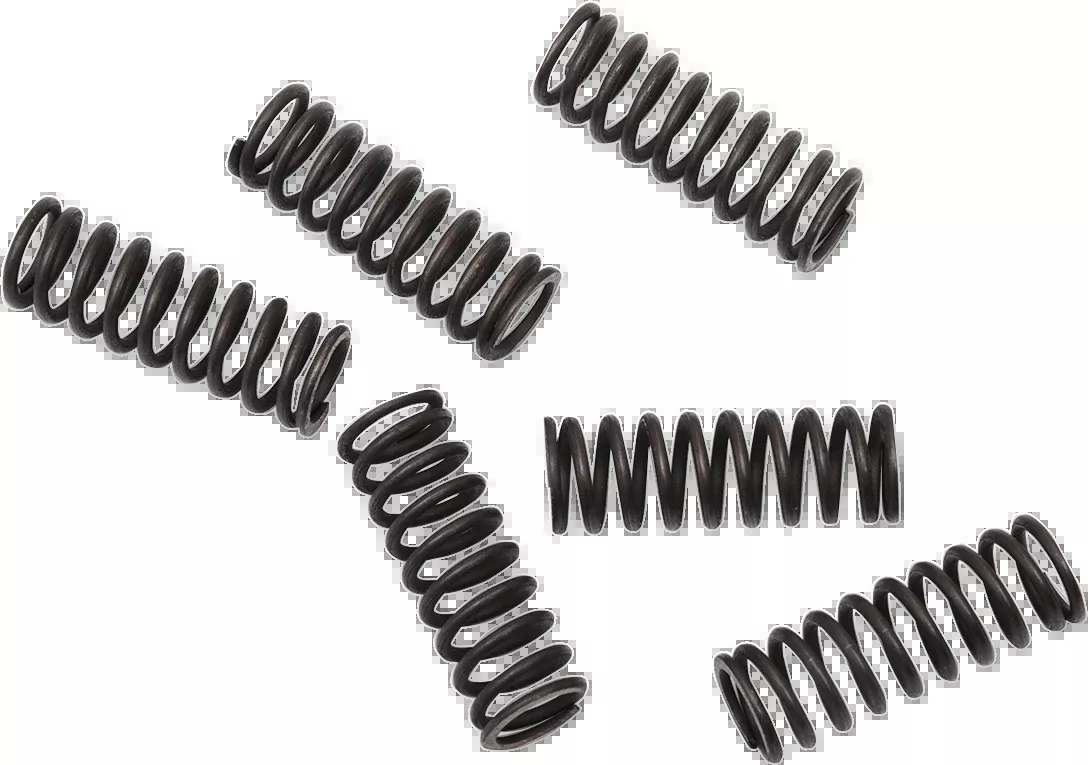 Moose Offroad Clutch Springs – CRF 450-FHDS155-6