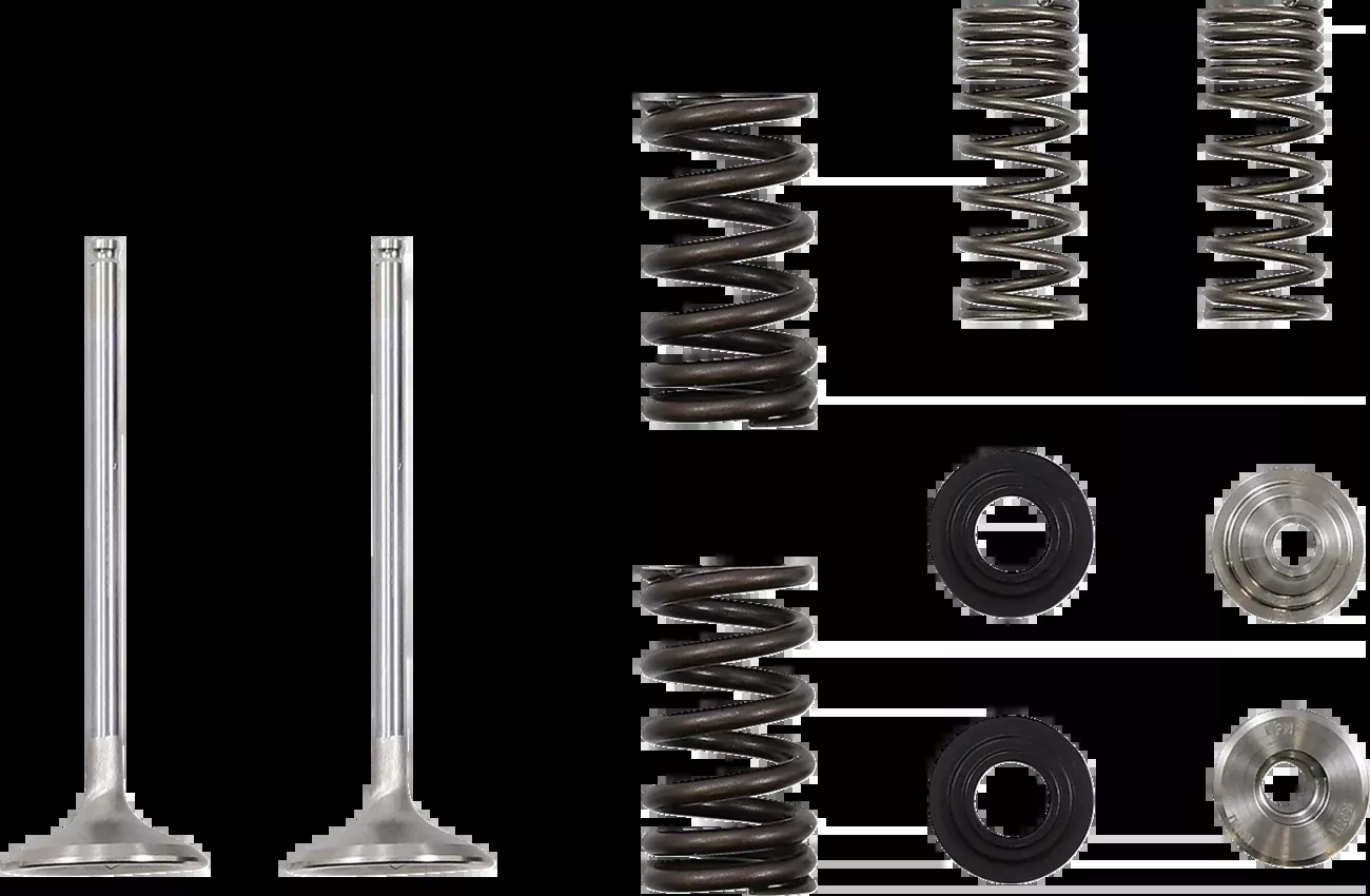 Moose Offroad Valve and Spring Kit – Kawasaki KX250X | KX250F-M40-41660