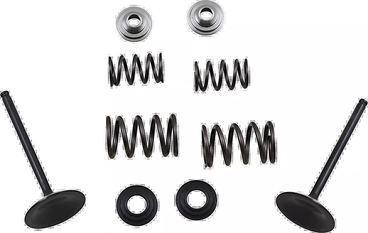 Moose Offroad Valve and Spring Kit – Suzuki LTR450 Quad Racer-M60-60850