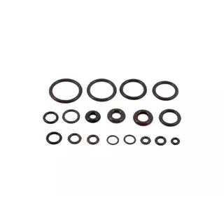 O-RING VITON ASSORTED