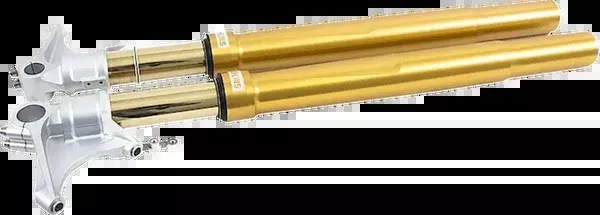 Ohlins Fork Cartridge Kit – 48 MM – Inverted – Gold (FGRT308)