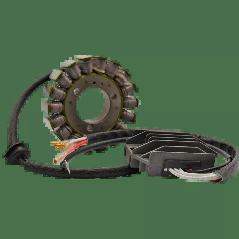 Rick's Motorsport Electric Charging Kit H/S Kawasaki